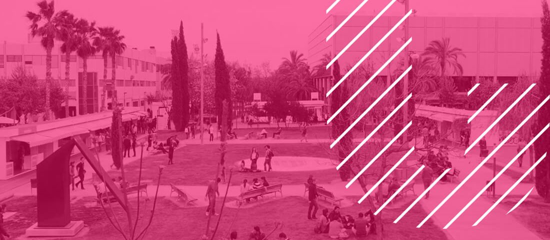 Oberta Inscripcio Curs Estiu UPV Transparencia verano
