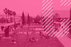Oberta Inscripcio Curs Estiu UPV Transparencia verano