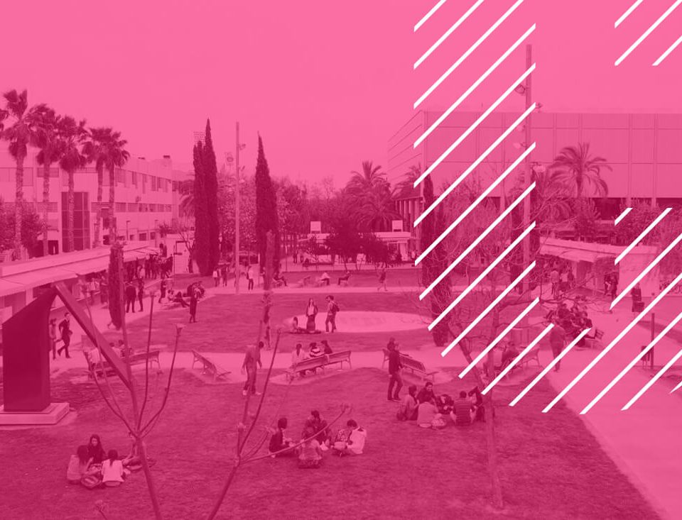 Oberta Inscripcio Curs Estiu UPV Transparencia verano